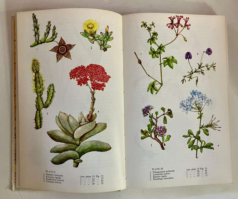 Eastern Cape Veld Flowers - Eily Gledhill. Hardcover w/o dj. 2nd Ed. 1981