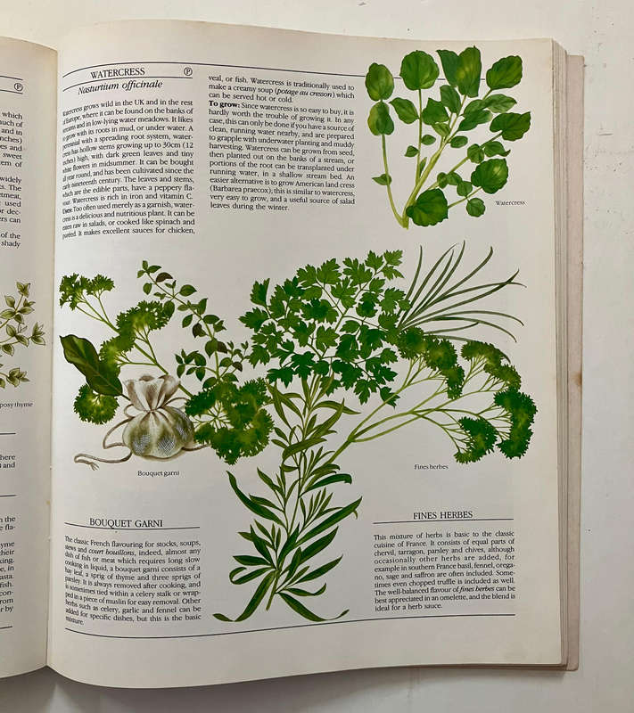 The Encyclopedia of Herbs, Spices and Flavourings - A Boxer, J Innes, et al. Softcover. 1st Ed. 1984