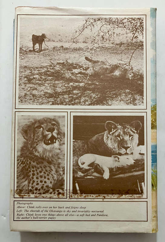 Wild Eden - June Kay. Hardcover w dj. 1st Ed. 1964