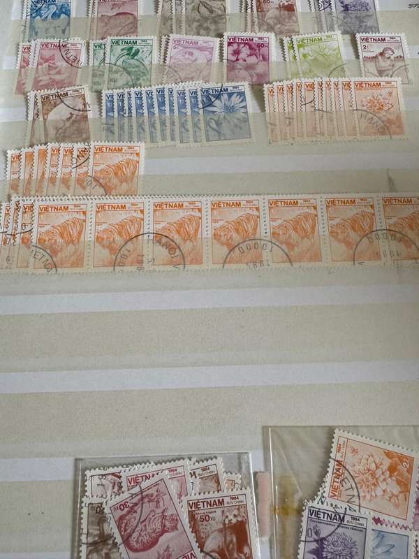 Malta, singapore,Uraguay,Venezela,Russia,Mongolia,Belarus,Vietnam, Pakistan