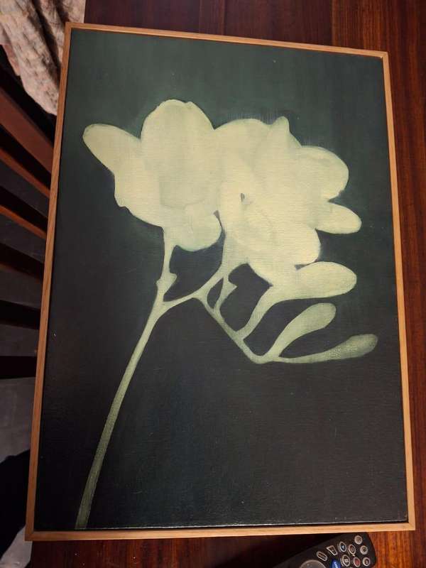 Freesia