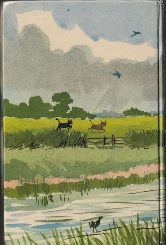 Watkins-Pitchford, D J (Aka "BB") - Bill Badger's Voyage to the World's End - (Hardcover in Jacket)