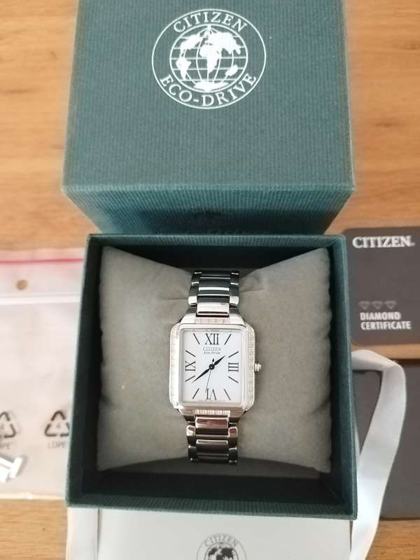 Citizen Ciena Ladies Eco Drive Watch