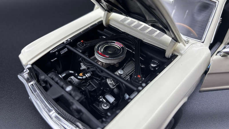 1965 Shelby GT350  Snake on a Plane