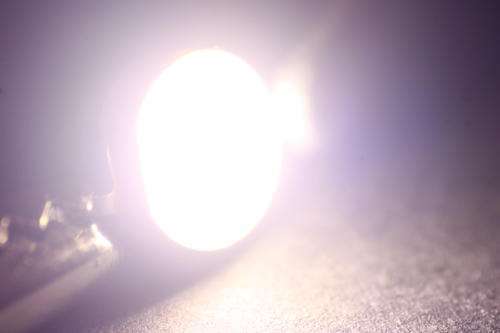 5W Led Cool White 10000 - 15000K Marine **LOCAL STOCK**