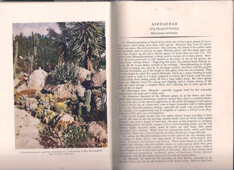Succulents for the Amateur, Brown et al