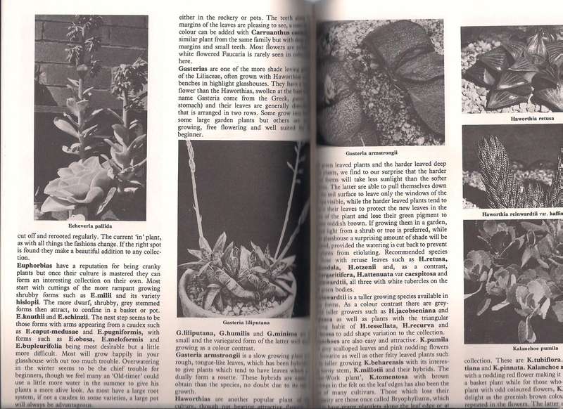 Growing Cacti & Succulents, Sharland