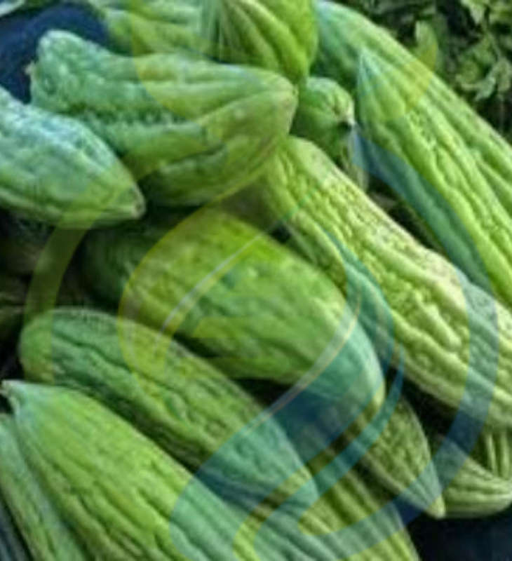 Bitter melon seed