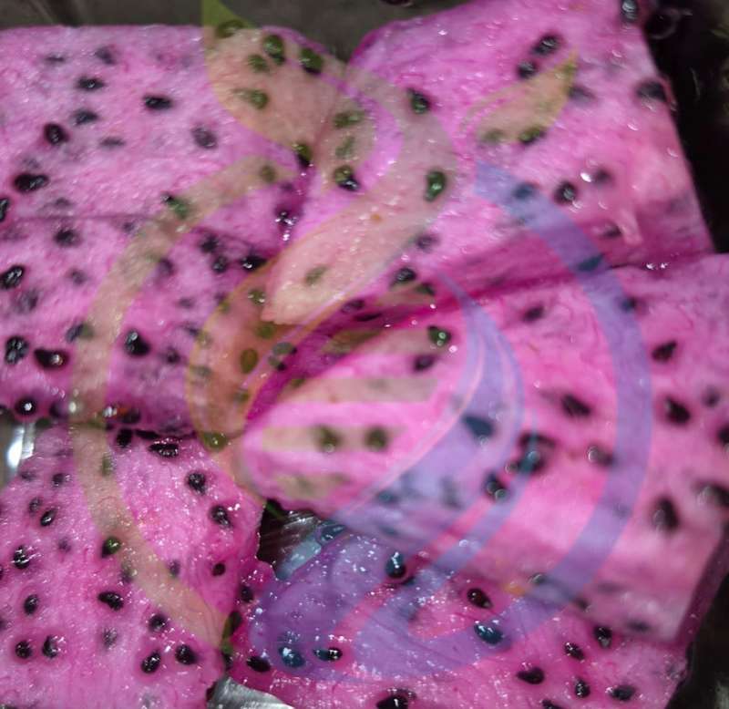 Delight dragonfruit seed