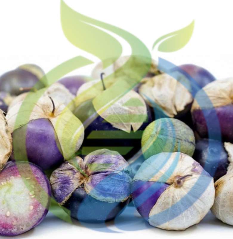 Mexican Purple Tomatillo seed