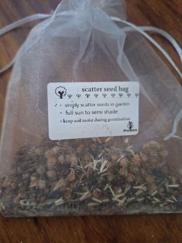 Scatter Seed bag