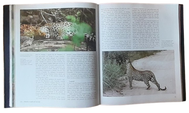 On The Trail Of The Wild, encounters in the South African bush - Raphael Ben-Shahar - 9783829014465