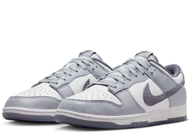 Nike Men`s Dunk Low Retro Special Edition White/Platinum Tint FJ4188 100 Size UK 10 (SA 10)