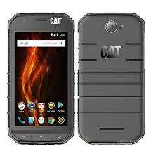 CAT S31
