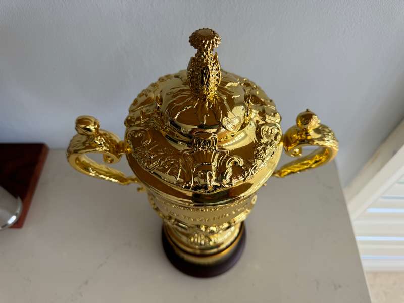 Rugby World Cup Webb Ellis Trophy Replica (Springbok Memorabilia)