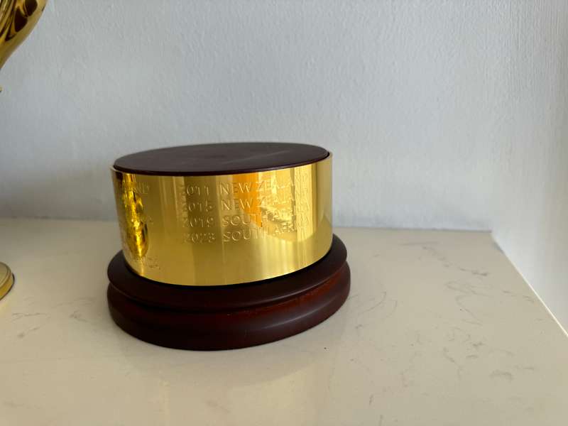 Rugby World Cup Webb Ellis Trophy Replica (Springbok Memorabilia)