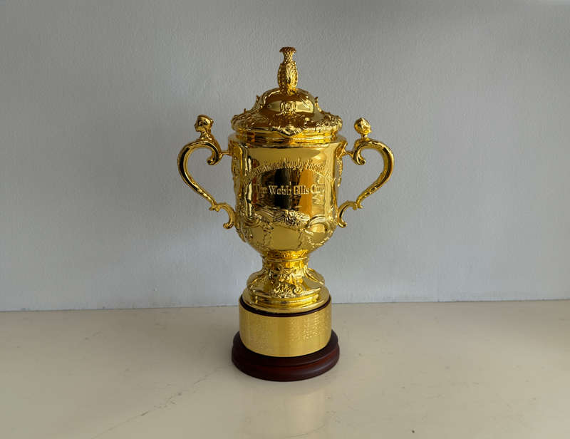 Rugby World Cup Webb Ellis Trophy Replica (Springbok Memorabilia)
