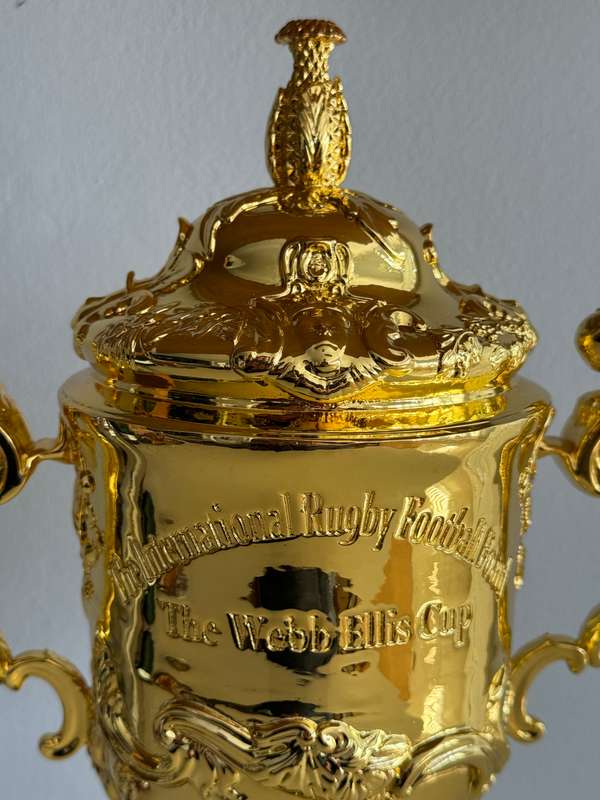 Rugby World Cup Webb Ellis Trophy Replica (Springbok Memorabilia)