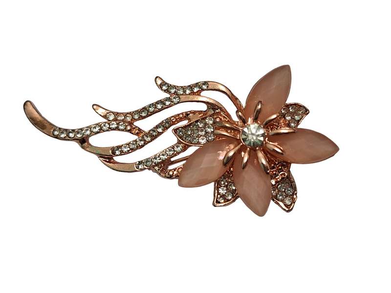 Stunning brooch