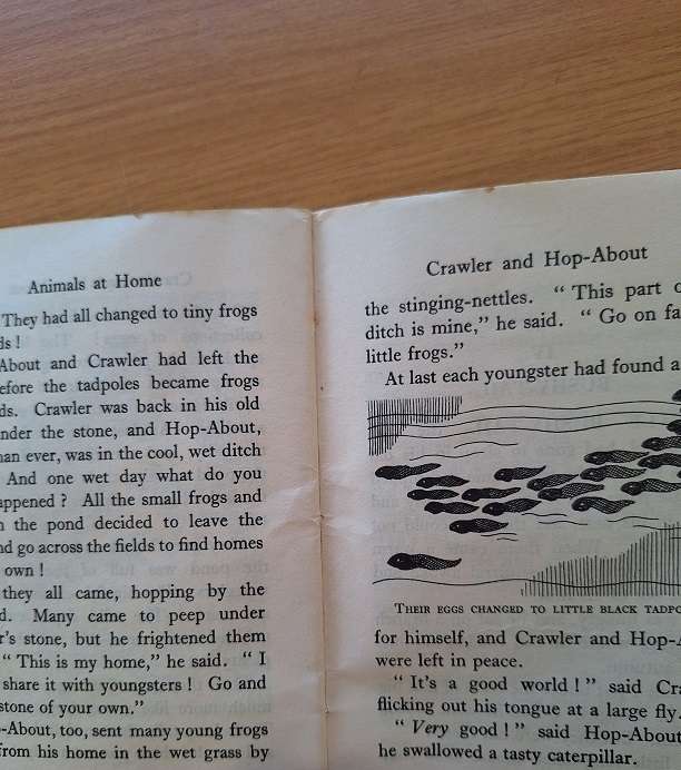 Animals at Home by Enid Blyton 1947 Old Thatch series