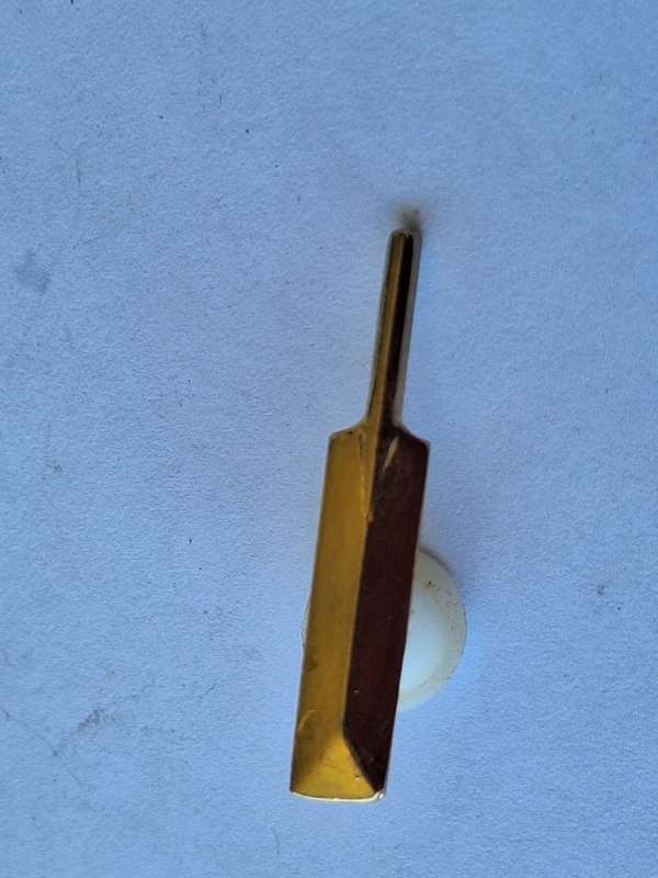 Cricket bat pin