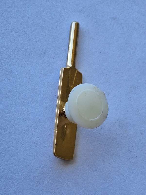 Cricket bat pin