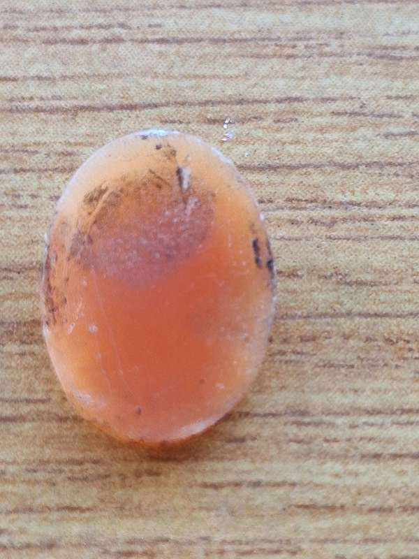 Tiny Cameo unmounted 1.5 x 1cm