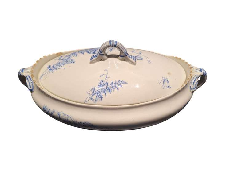 Antique, museum  quality George Jones & Sons serving dish, Fern & Bell pattern