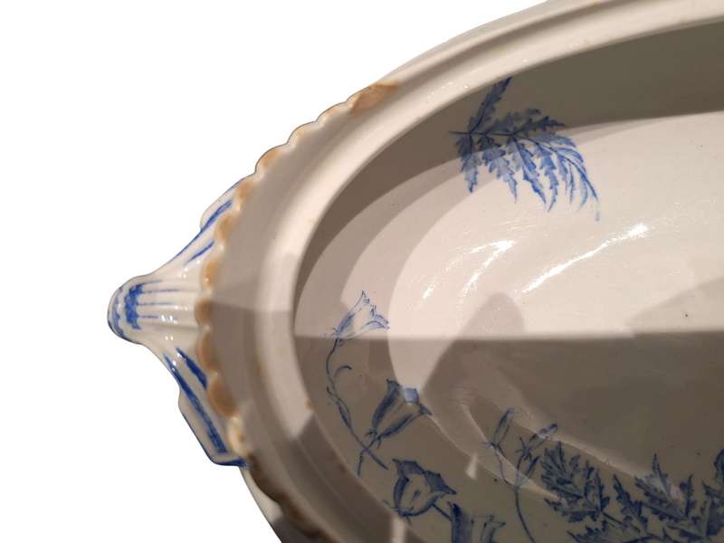 Antique, museum  quality George Jones & Sons serving dish, Fern & Bell pattern