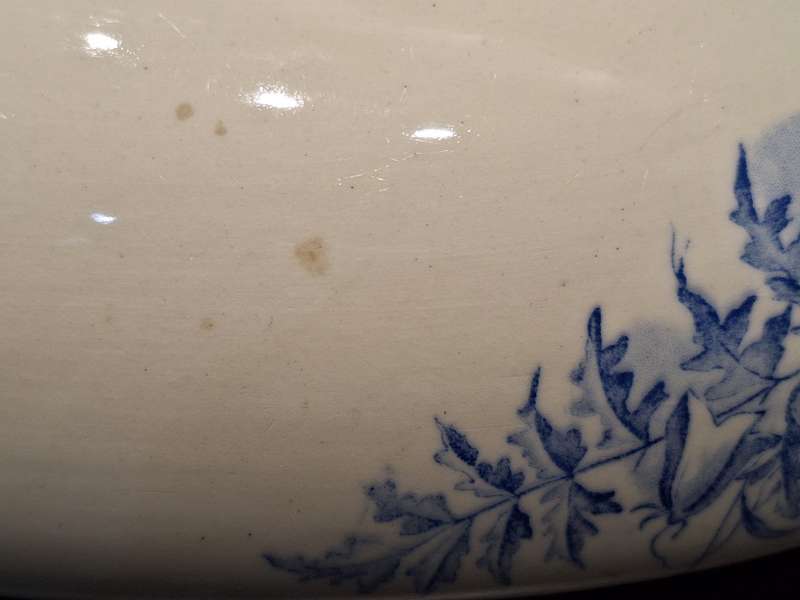 Antique, museum  quality George Jones & Sons serving dish, Fern & Bell pattern