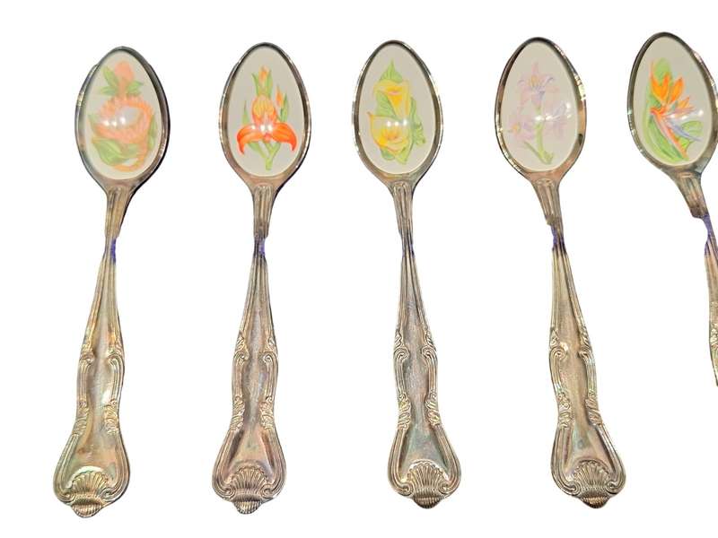 South African Wildflower teaspoons in excellent boxed condition