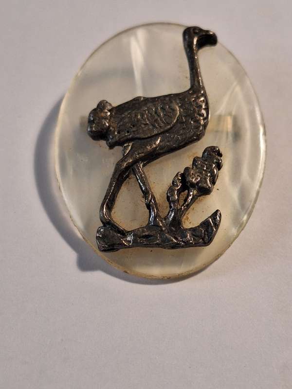 Metal ostrich on possibly resin backing brooch
