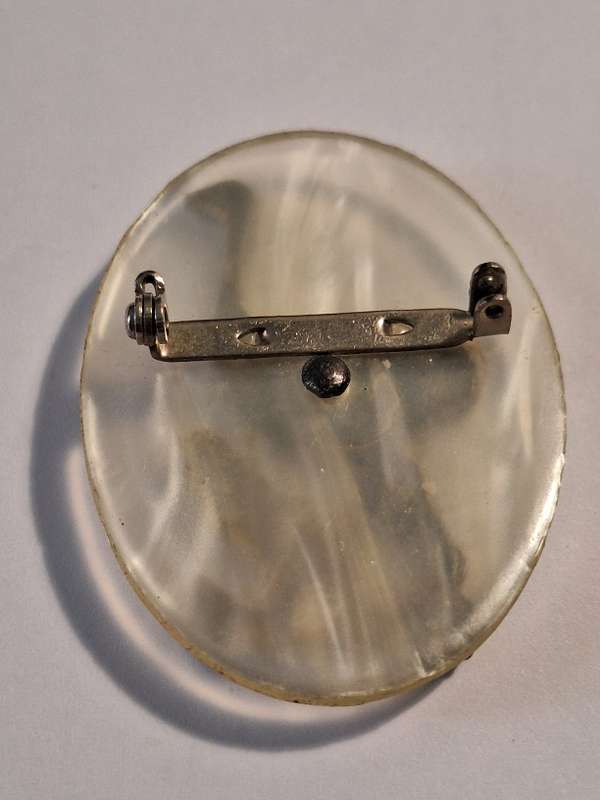 Metal ostrich on possibly resin backing brooch