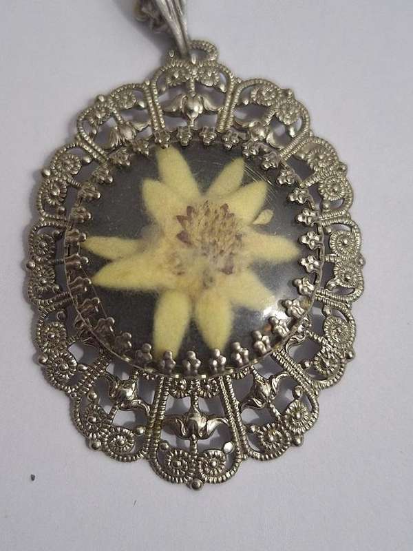 Vintage Pendant, Edelweis dried flower in ornate frame