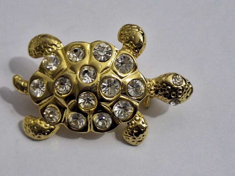 Beautiful Tortoise brooch