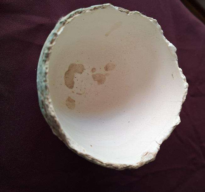Stunning decorative vase