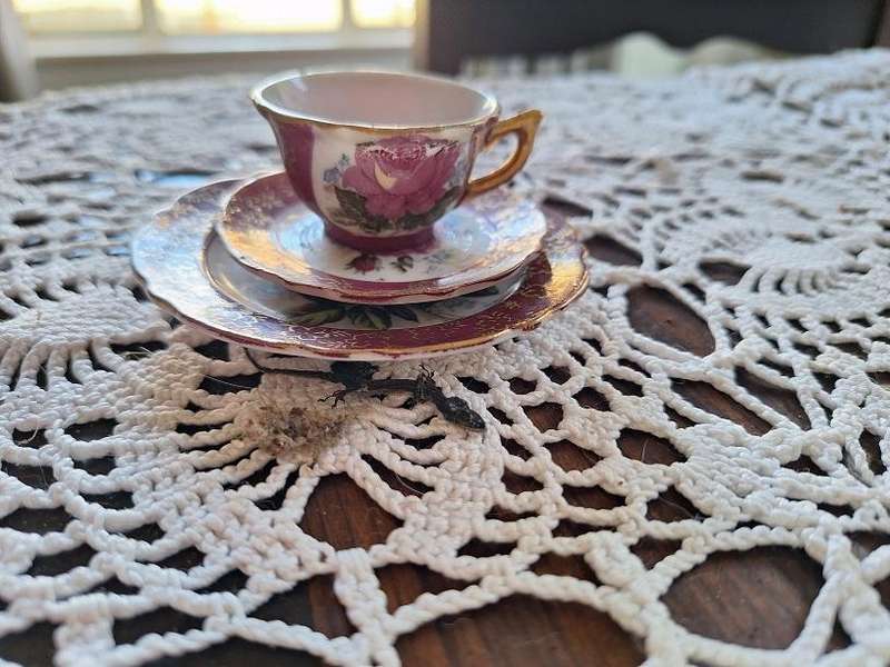 Miniature Lamode trio, for decoration
