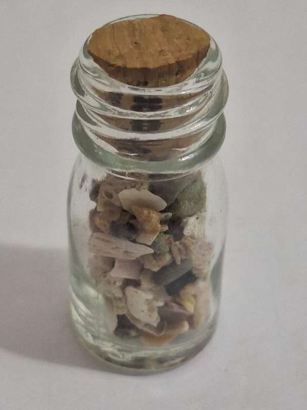 Printers Tray ornament Bottle of broken shells