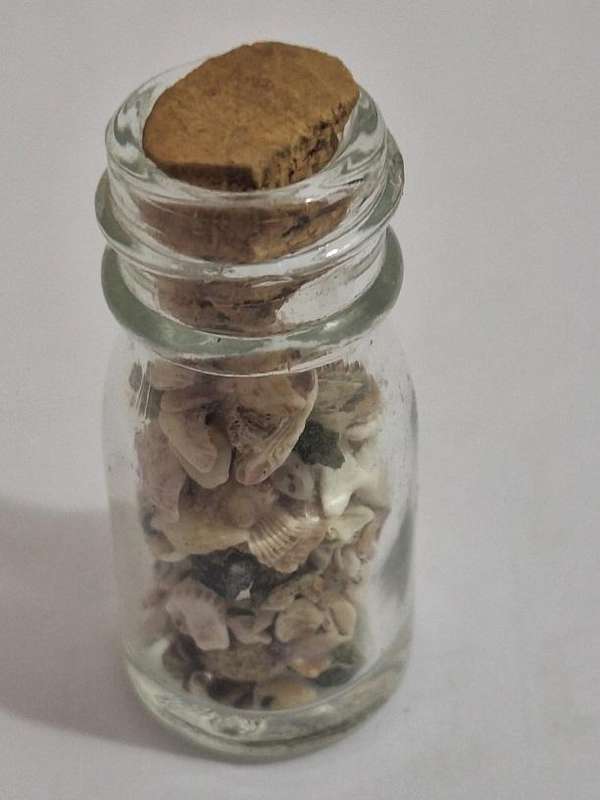 Printers Tray ornament Bottle of broken shells