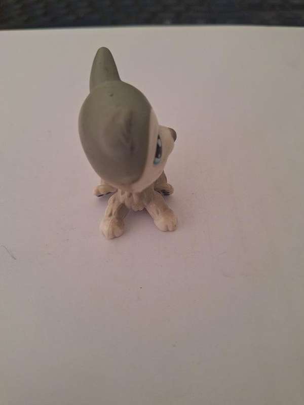 Littlest Pet Shop Husky puppy 2007 Hasbro