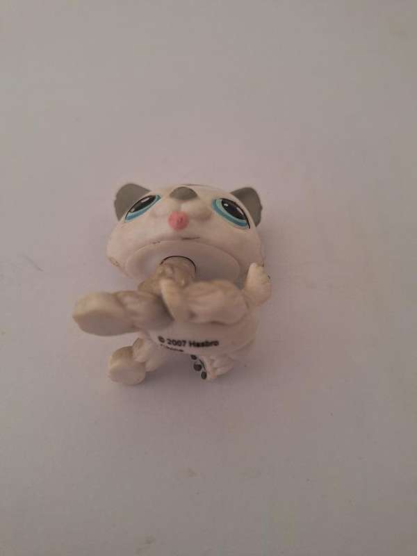 Littlest Pet Shop Husky puppy 2007 Hasbro