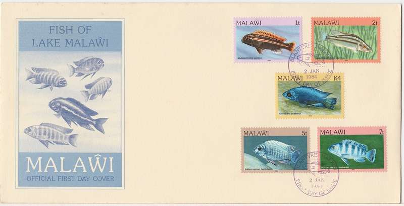 Malawi X 3 FDC. 1984 Fish Definitive series as scan Hint of foxing sold as used stamps. Hi Cat Value
