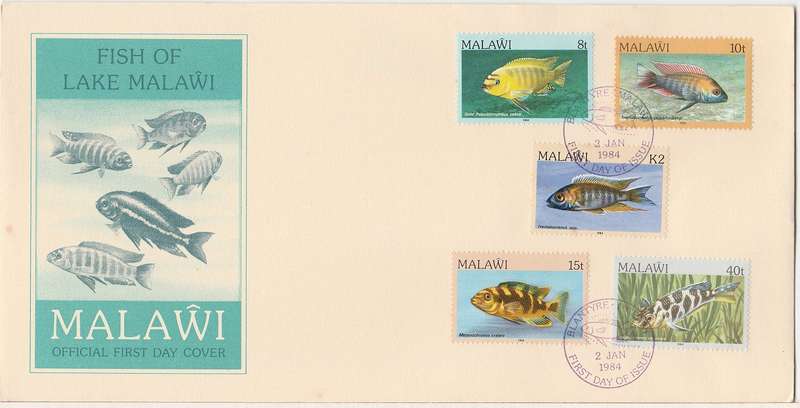 Malawi X 3 FDC. 1984 Fish Definitive series as scan Hint of foxing sold as used stamps. Hi Cat Value