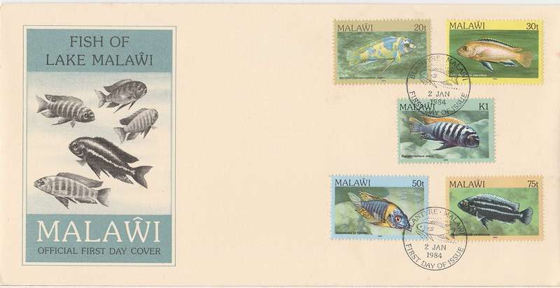 Malawi X 3 FDC. 1984 Fish Definitive series as scan Hint of foxing sold as used stamps. Hi Cat Value