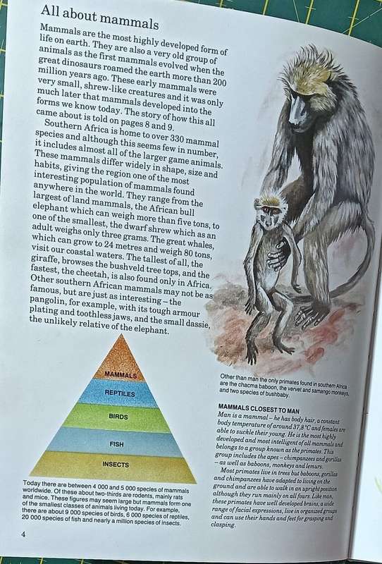 Mammals of Southern Africa - The Young Naturalist Book