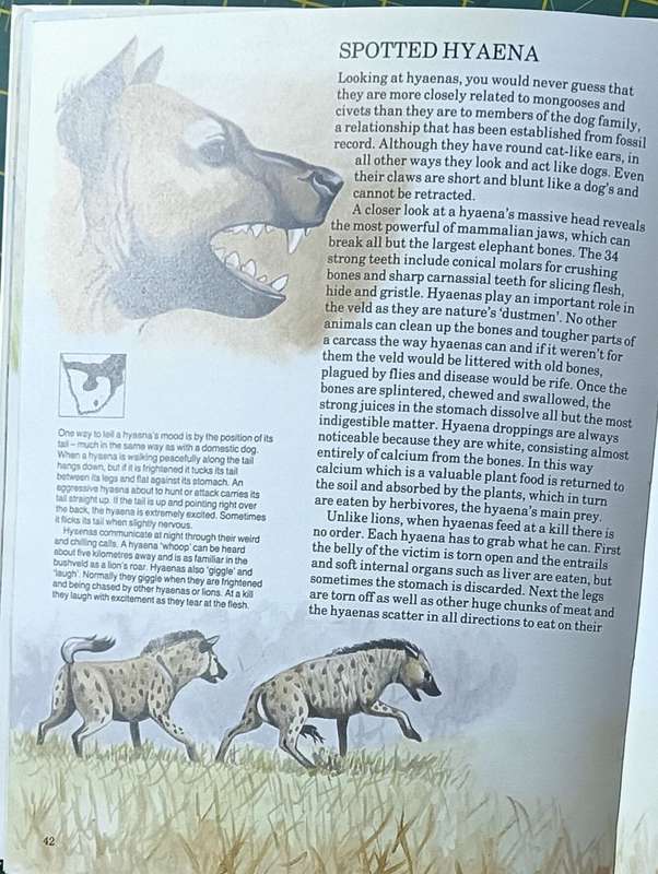 Mammals of Southern Africa - The Young Naturalist Book