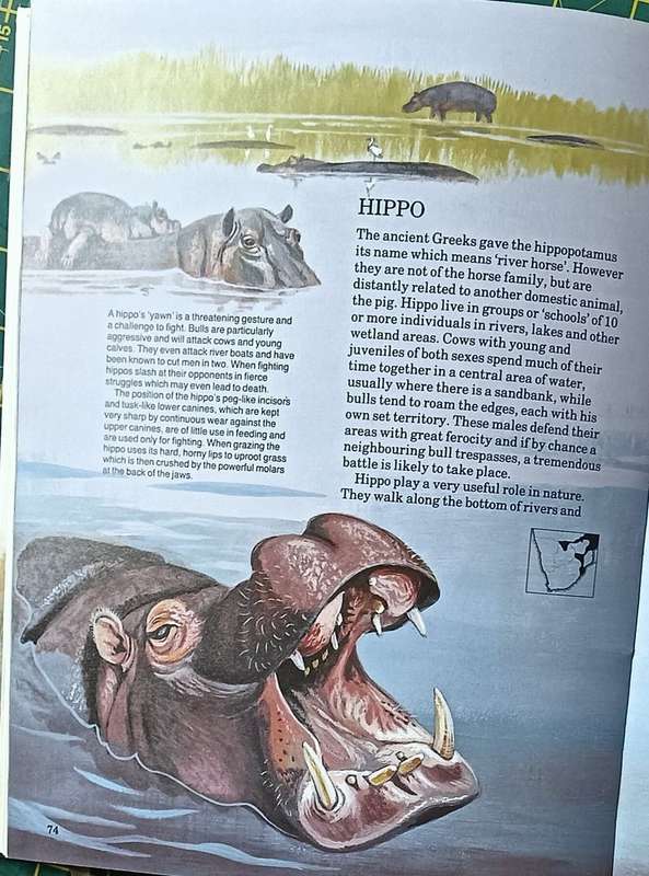 Mammals of Southern Africa - The Young Naturalist Book