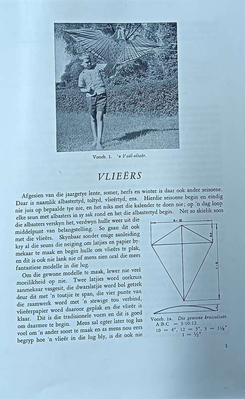 Die Groot Handarbeitboek - H. Th. Janssen - Hardcover
