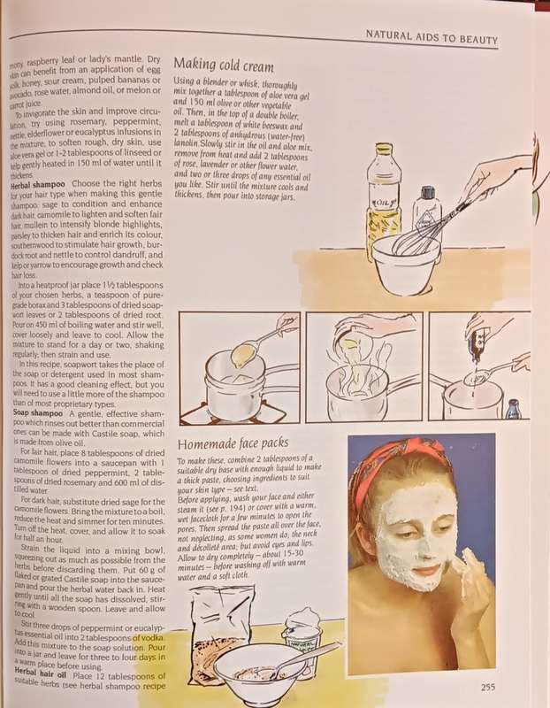 Reader's Digest South African Family Guide to Natural Medicine