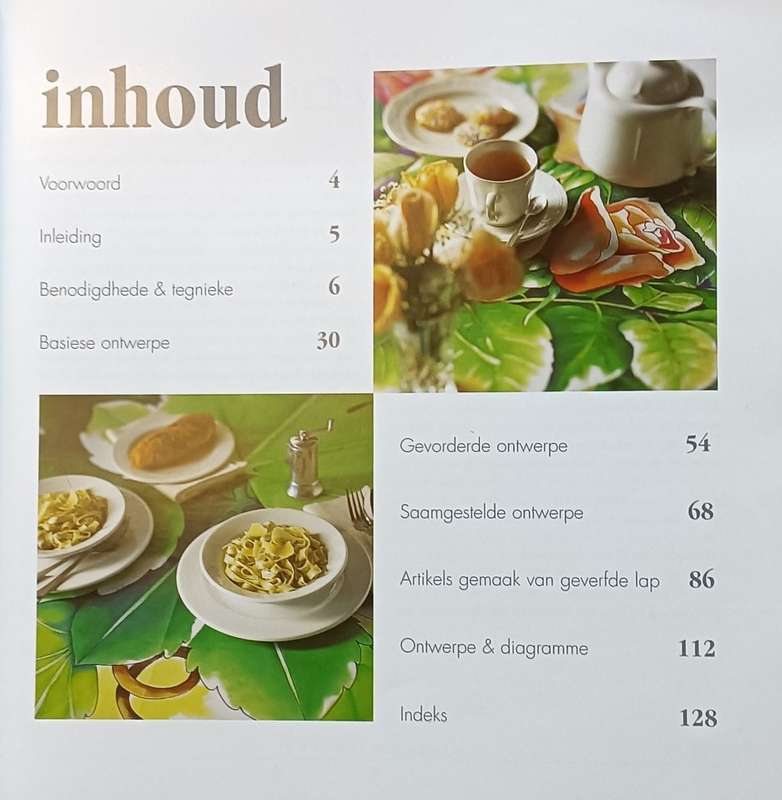 Skilder op Lap - Tharina Odendaal en Anika Pretorius - Softcover